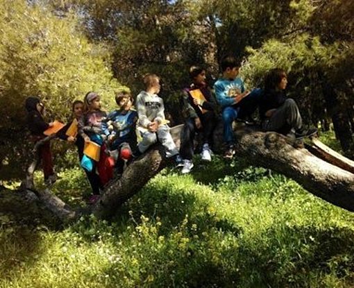 Kinder sitzen auf einem umgefallenen Baum beim FSJ in Griechenland.