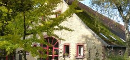 Haus und Bäume beim FSJ in Osnabrück
