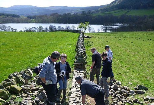 Arbeiten auf der Farm in der Camphilleinrichtung "Loch Arthur" beim FSJ in Schottland
