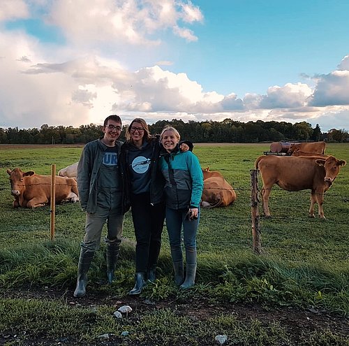 Freiwillige stehen vor einer Kuhwiese und lächeln in die Kamera beim FSJ in Irland