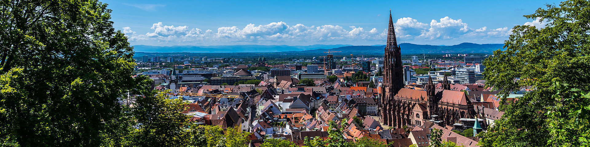 FSJ Freiburg