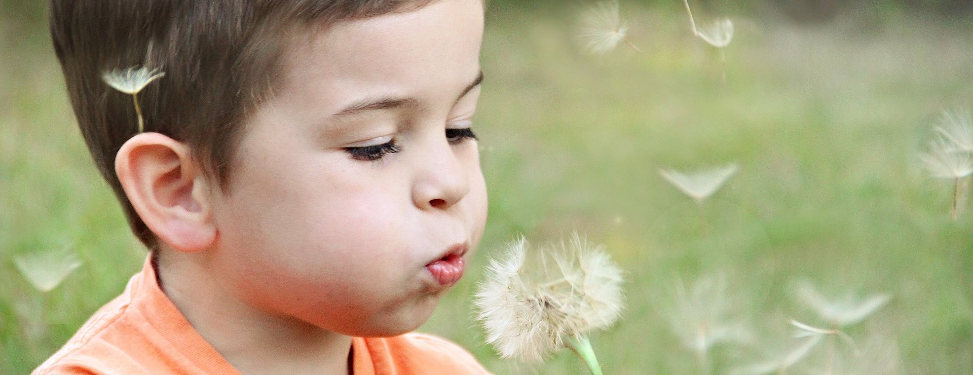 Kleiner Junge pustet Pusteblumen beim FSJ Heilpädagogik.