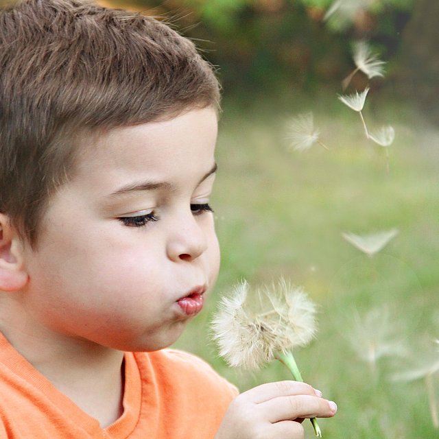 Kleiner Junge pustet Pusteblumen beim FSJ Heilpädagogik.