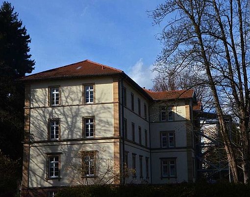 Gebäude einer Waldorfschule beim FSJ in Freiburg