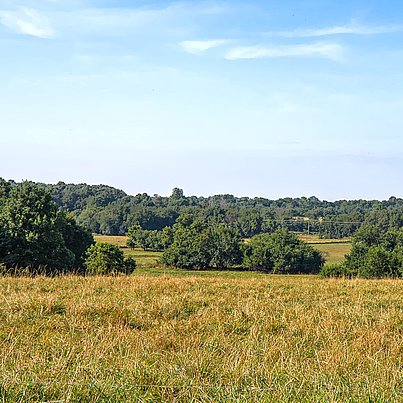Feld und Wald beim FSJ in Baden-Württemberg
