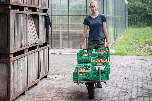 Frau mit Schubkarre im FÖJ