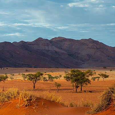 Savanne beim FSJ Namibia