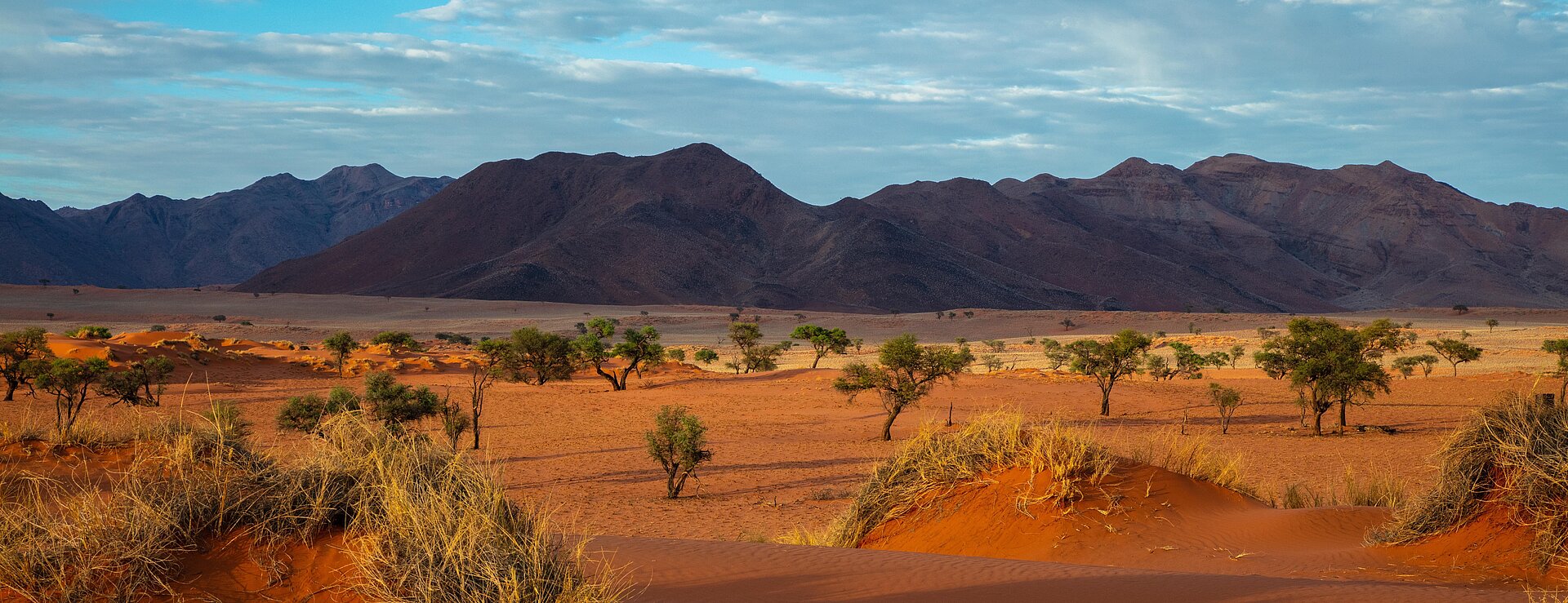 Savanne beim FSJ Namibia
