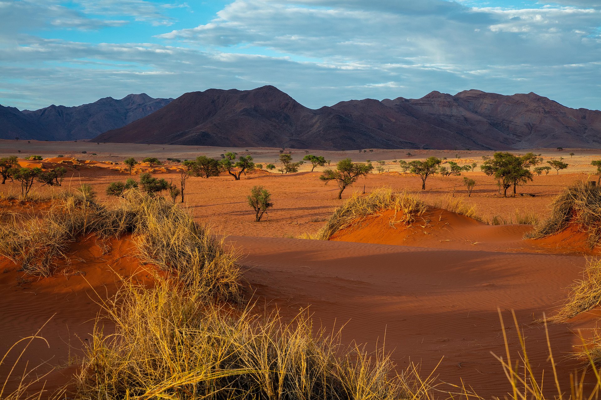 Savanne beim FSJ Namibia