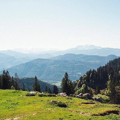 Wiesen, Berge und blauer Himmel beim FSJ in Bayern