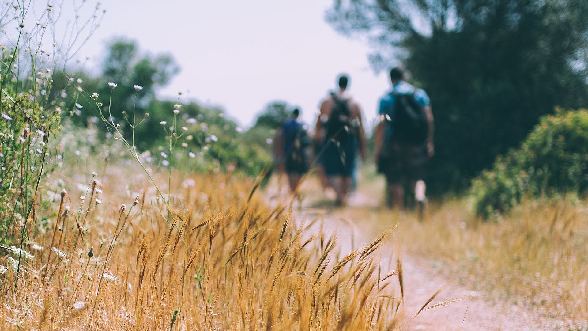 Wandern beim FSJ