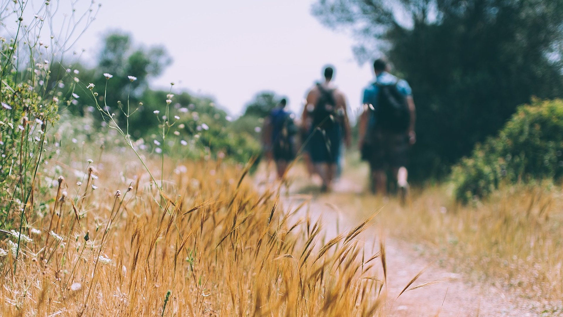 Wandern beim FSJ