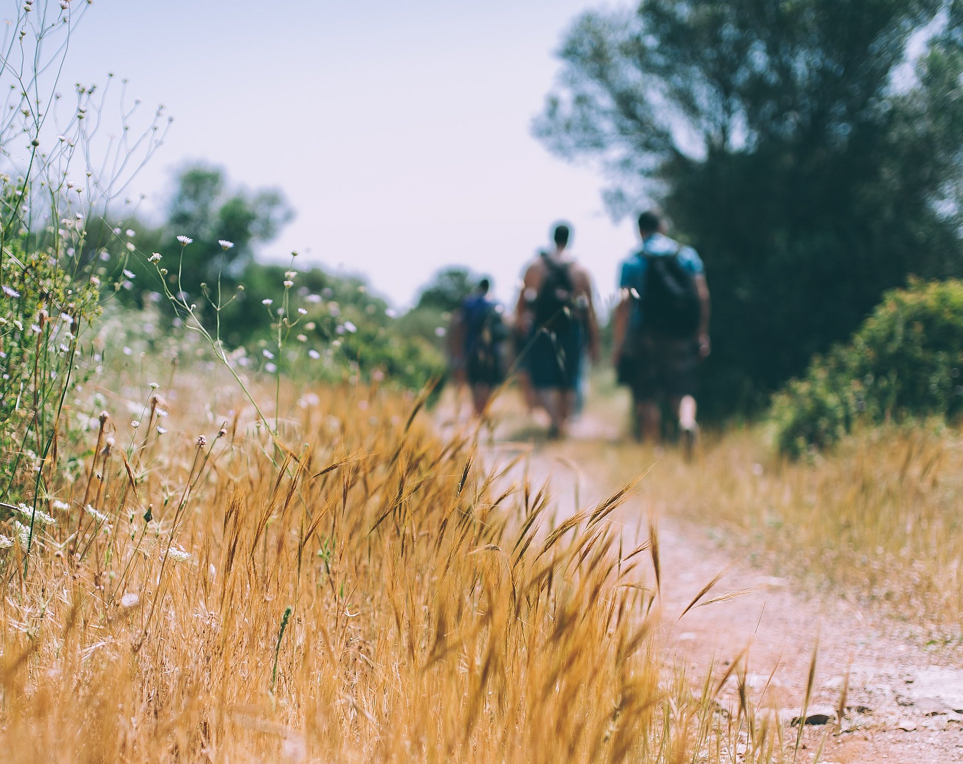 Wandern beim FSJ