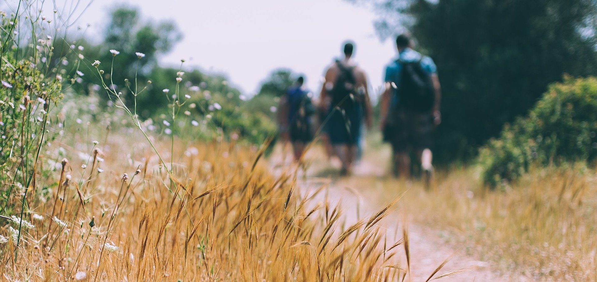 Wandern beim FSJ