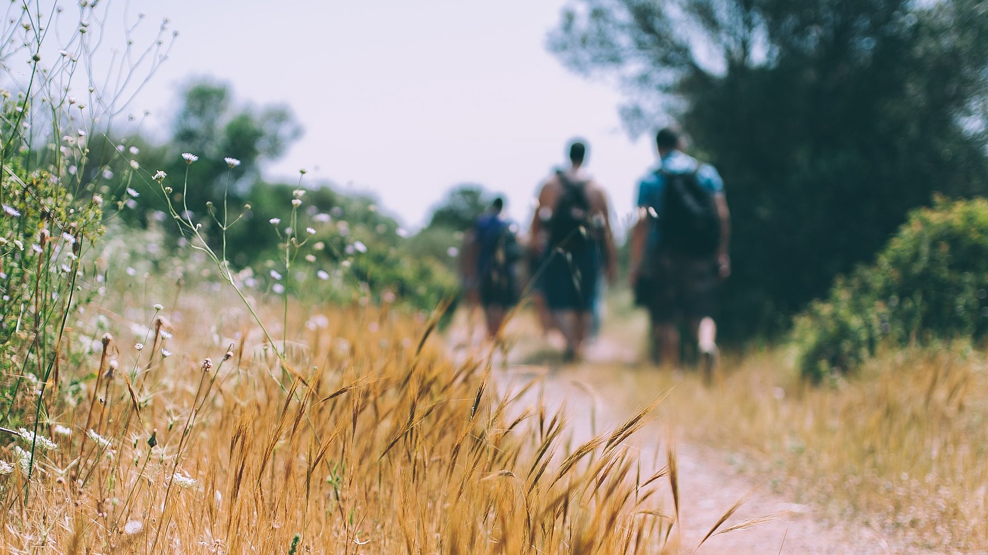 Wandern beim FSJ