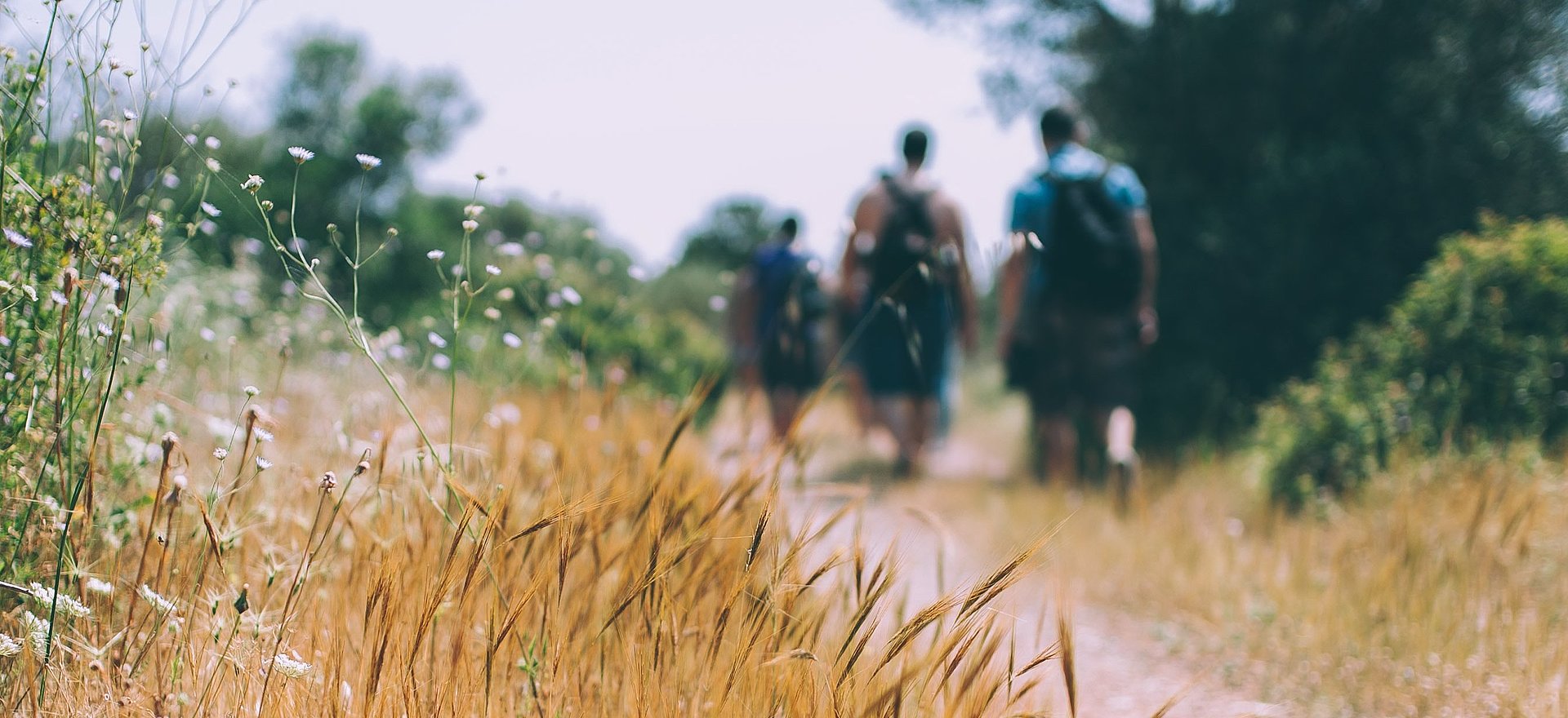 Wandern beim FSJ