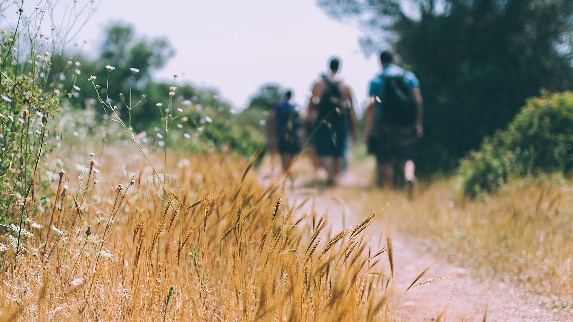 Wandern beim FSJ