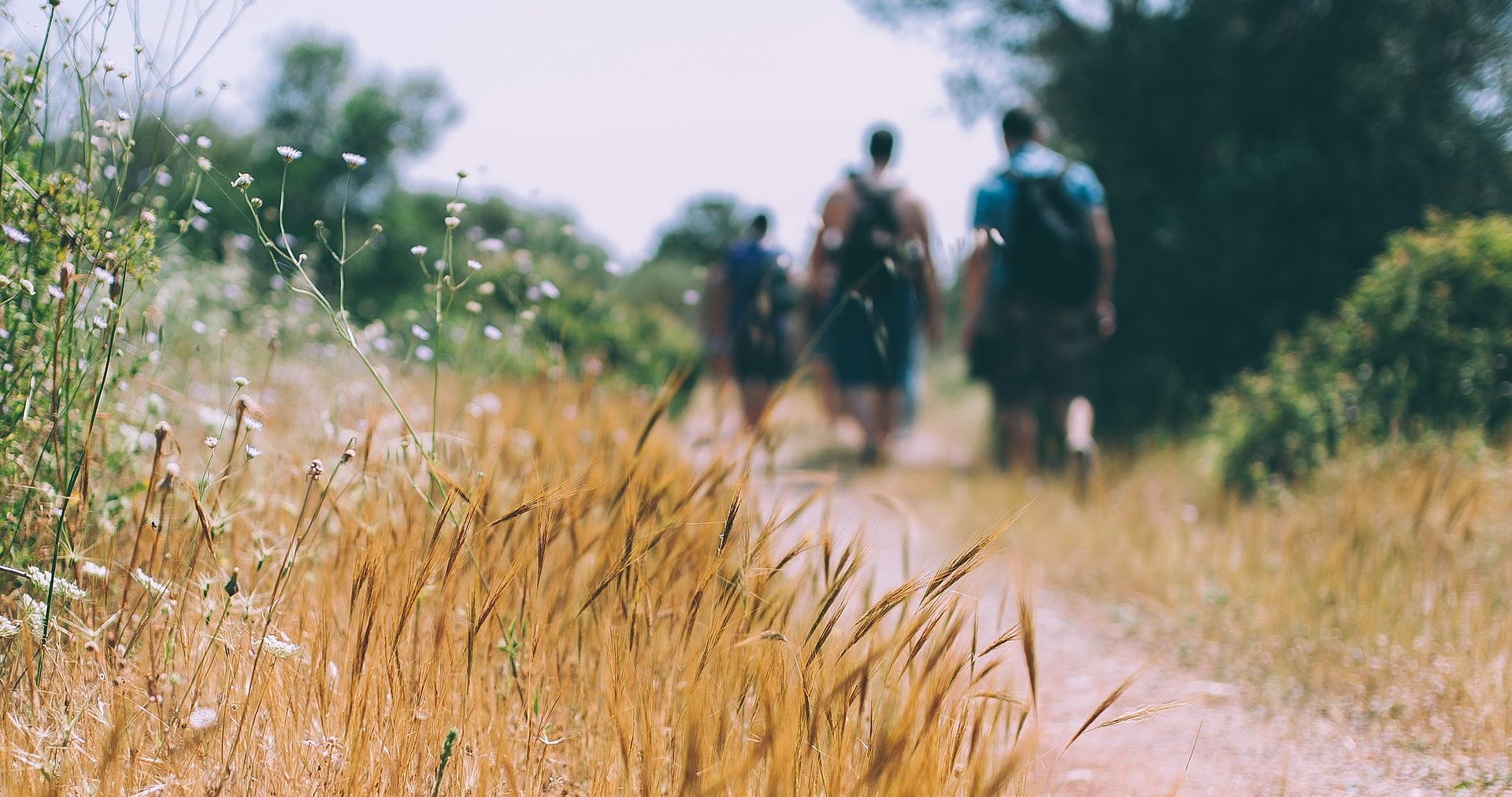 Wandern beim FSJ