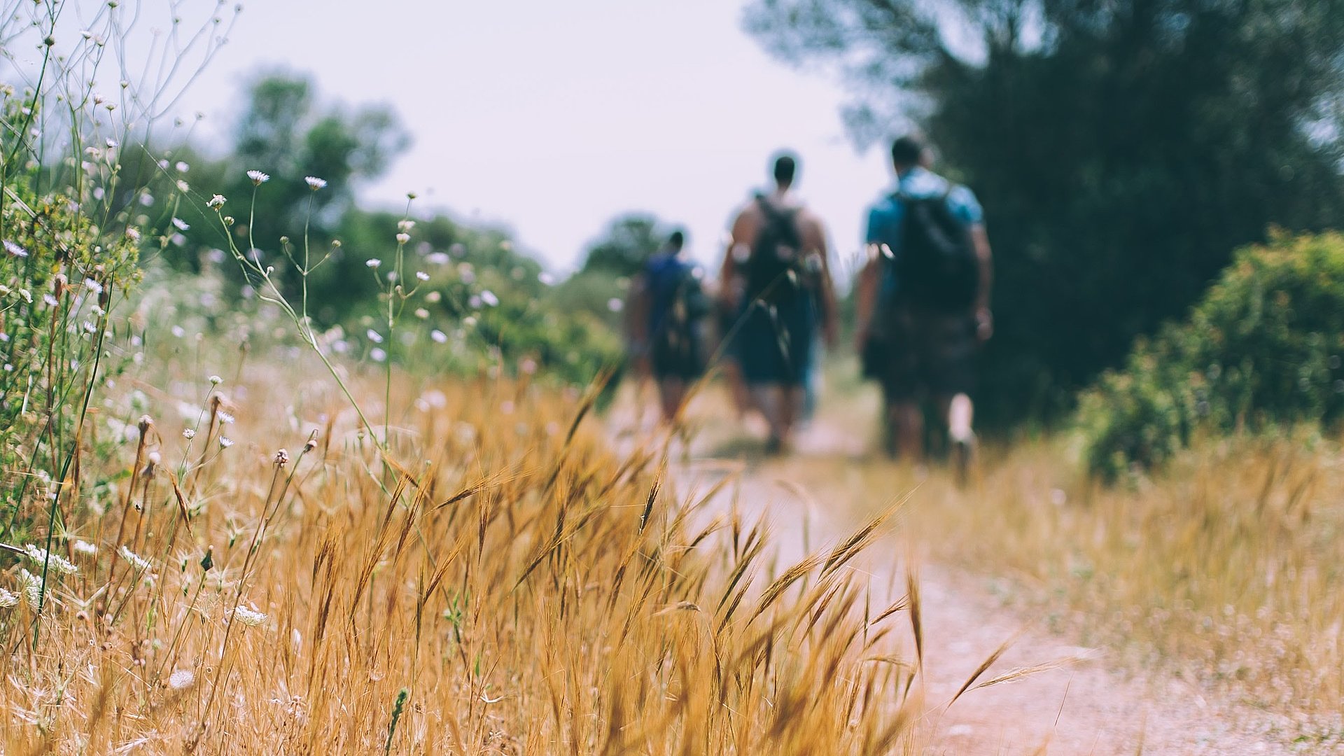 Wandern beim FSJ