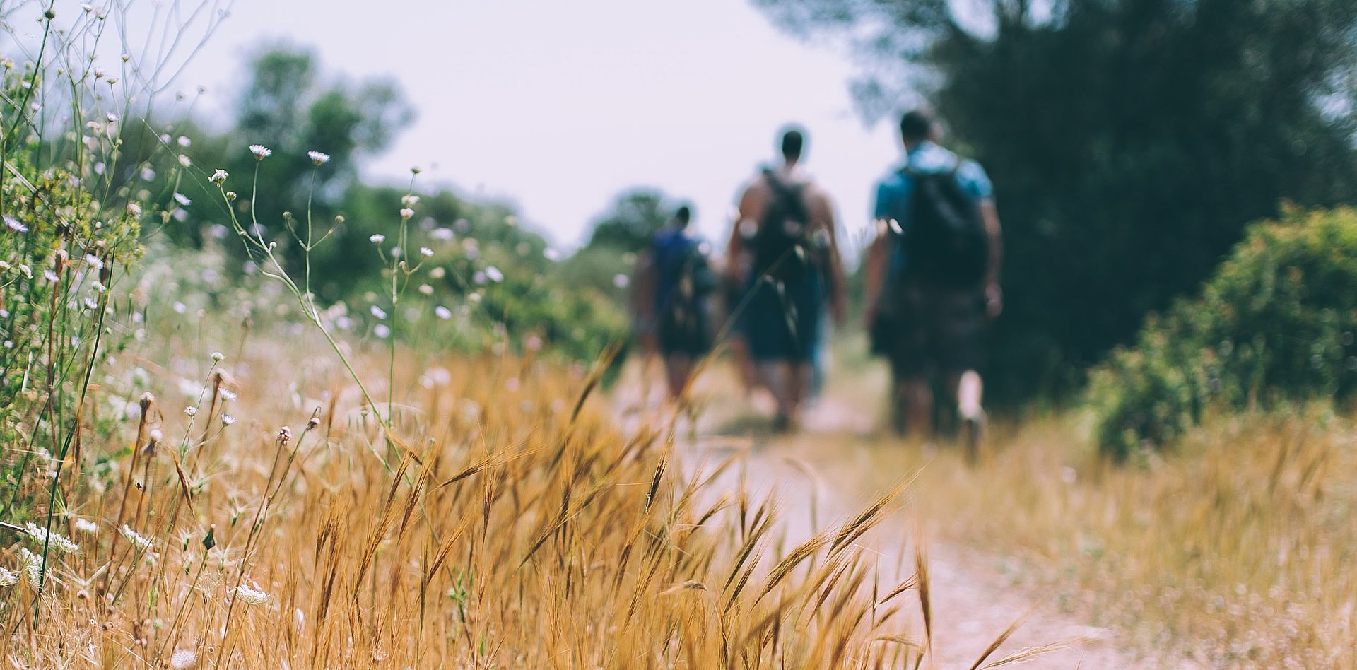 Wandern beim FSJ