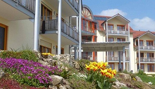 Frühlingsblumen vor einem Altenheim beim FSJ in Bayern