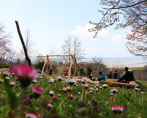 Gänseblümchen beim FSJ in Konstanz