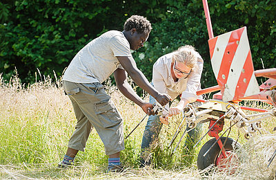 ARbeit auf dem Feld im FÖJ