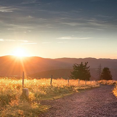 Weg und Wiese bei Sonnenuntergang beim FSJ in Deutschland