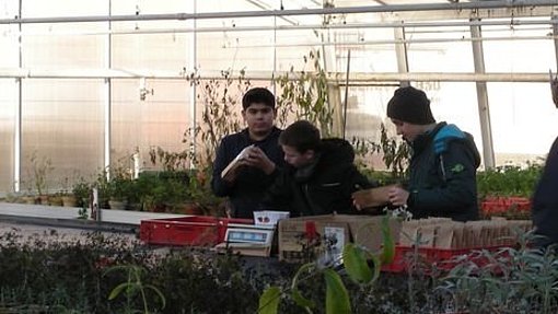 Wintergarten beim FSJ in Hessen