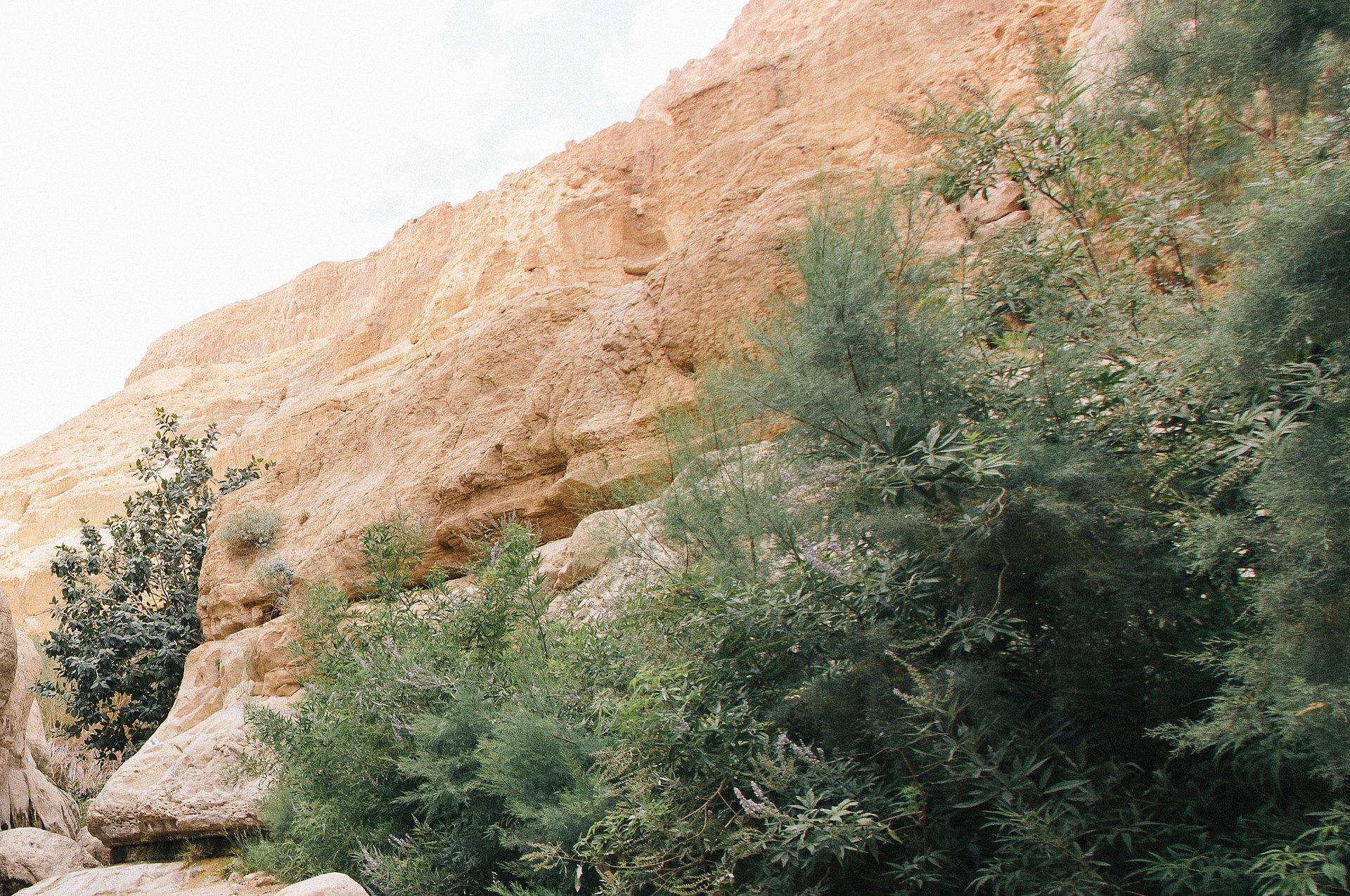 Felsen beim FSJ in Israel.