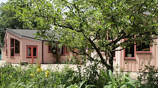 Rosaner Kindergarten hinter Bäumen beim FSJ in Düsseldorf
