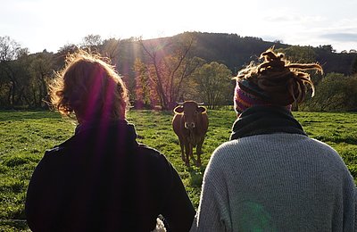 Freiwillige sitzen auf der Weide im FÖJ