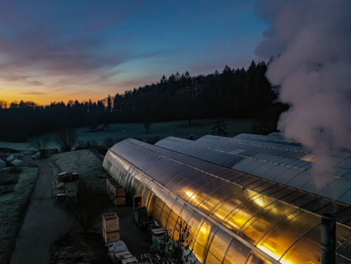 Treibhäuser bei Sonnenuntergang beim FSJ in Überlingen