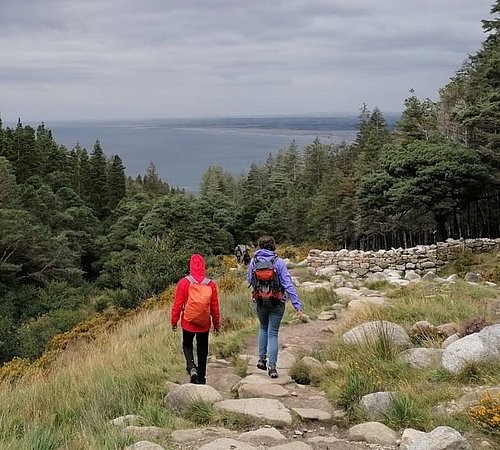 Zwei Personen wandern beim FSJ Neuseeland