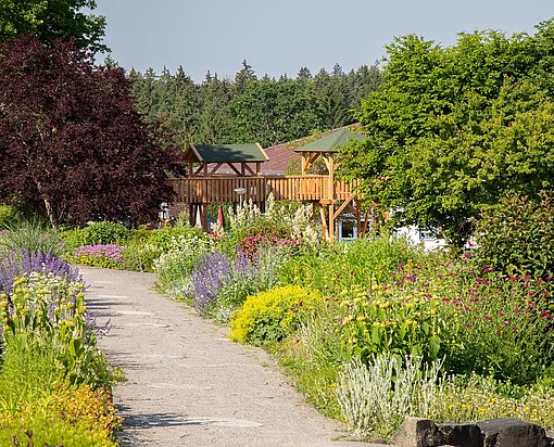 Weg zwischen Blumen beim FSJ in einem Camphill in Überlingen