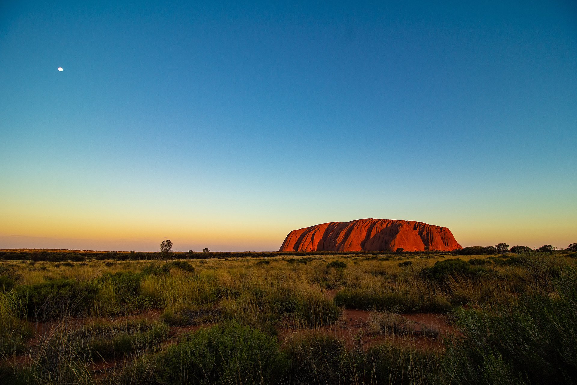 Uluru beim FSJ in Australien