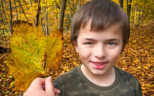 Keiner Junge mit gelbem Herbstblatt beim FSJ Heilpädagogik an der Camphill school.