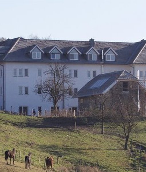 Einsatzstelle Loipoldhof beim FSJ in Österreich