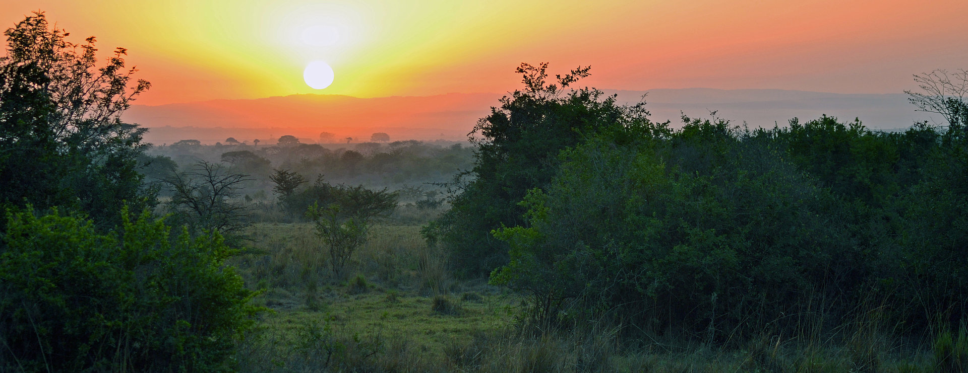 Sonnenaufgang über einer Landschaft als Symbol für den Waldorf Climate Balance Fund