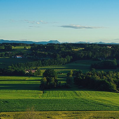 Wiesen und Wälder beim FSJ in Nordrhein Westfalen