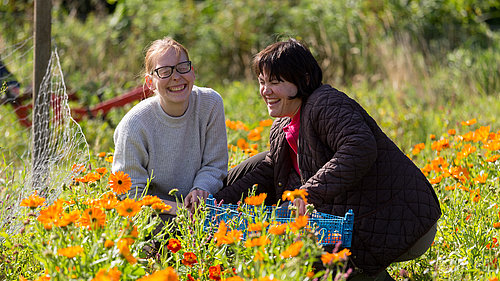 Menschen stehen in einer Blumenwiese beim FSJ Sozialtherapie