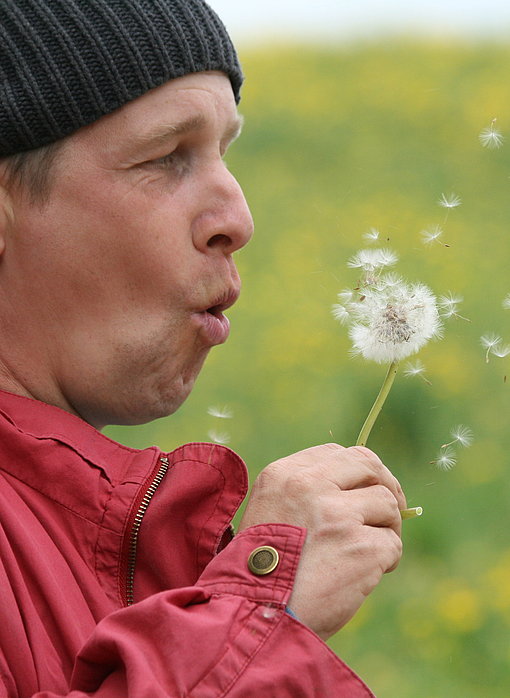 Mann pustet in eine Pusteblume beim FSJ Bauernhof