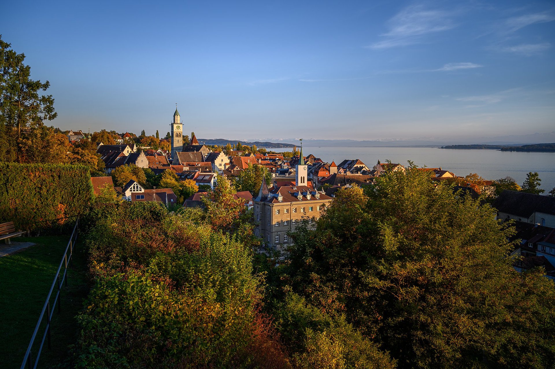 Stadt und Bäume beim FSJ in Überlingen