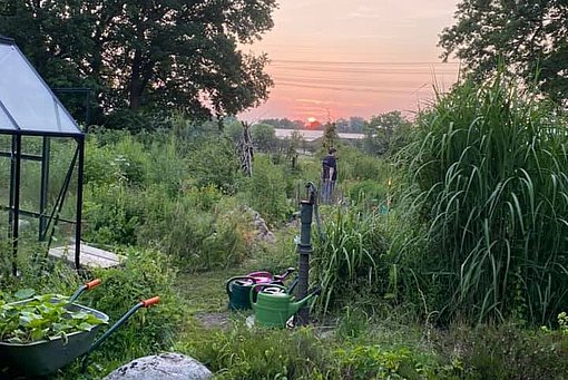 Gartenarbeit bei Sonnenuntergang beim FSJ in Hamburg