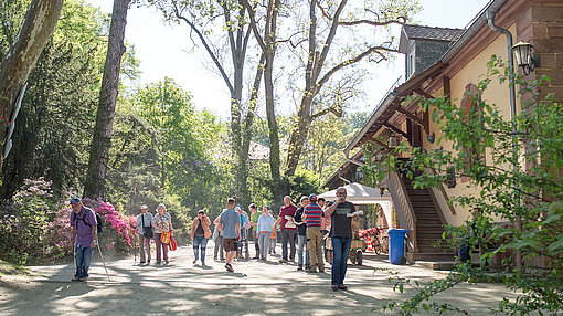 Menschen im Wald vor einem Haus beim FSJ in Fulda