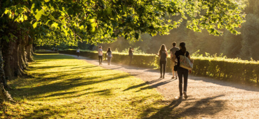 Spaziergang beim FSJ in Osnabrück