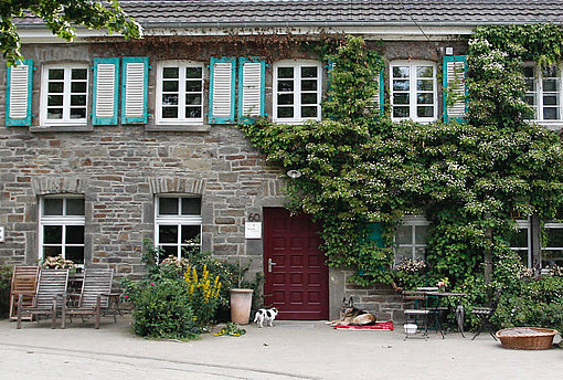 Haus mit Efeu beim FSJ in Nordrhein Westfalen