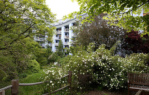 Altenheim beim FSJ in Frankfurt