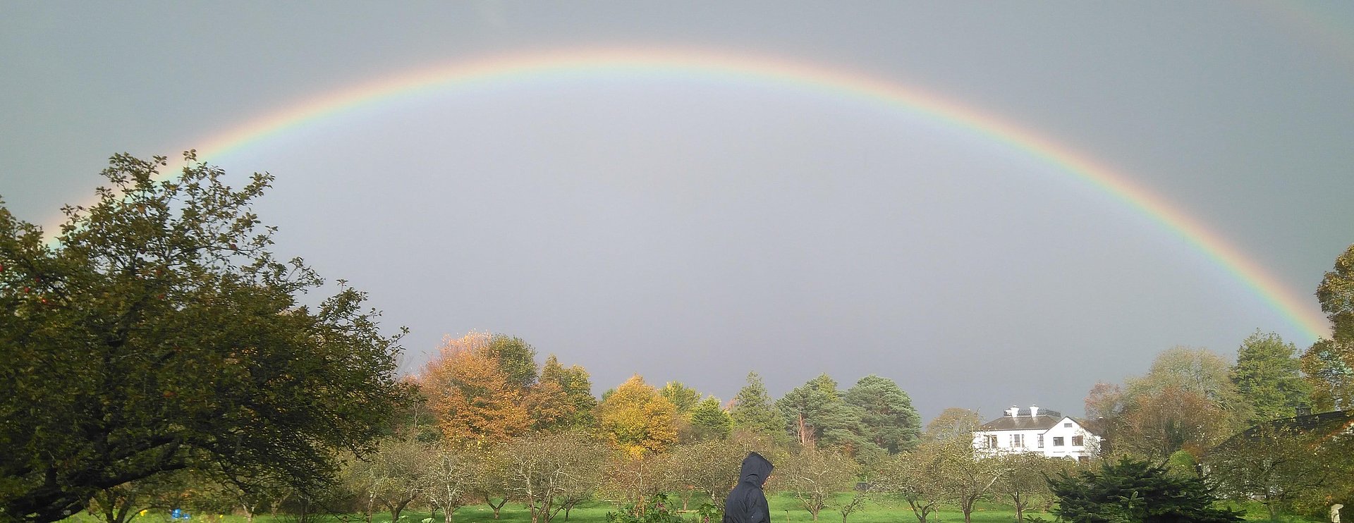 Regenbogen am Himmel beim FSJ