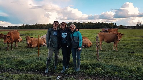 Freiwillige stehen vor einer Wiese mit Kühen bei ihrem FSJ